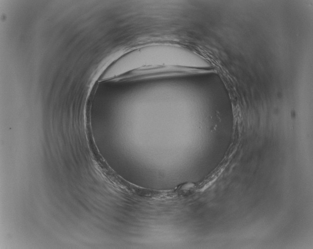 X0000075830148200610151528