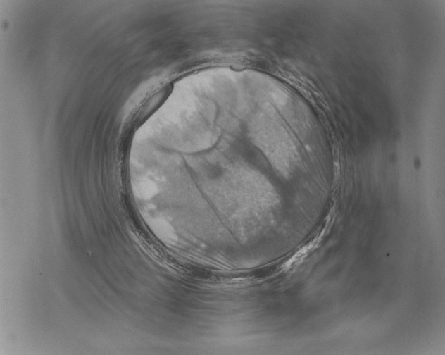 X0000075830149200610151528