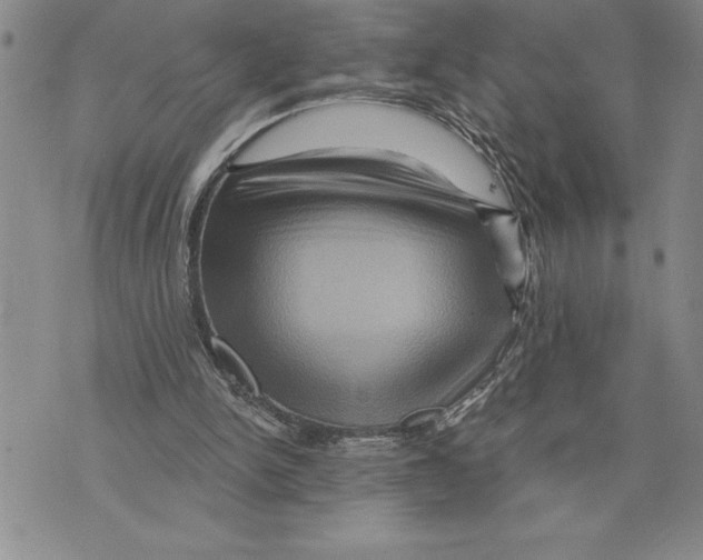 X0000075830150200610151528