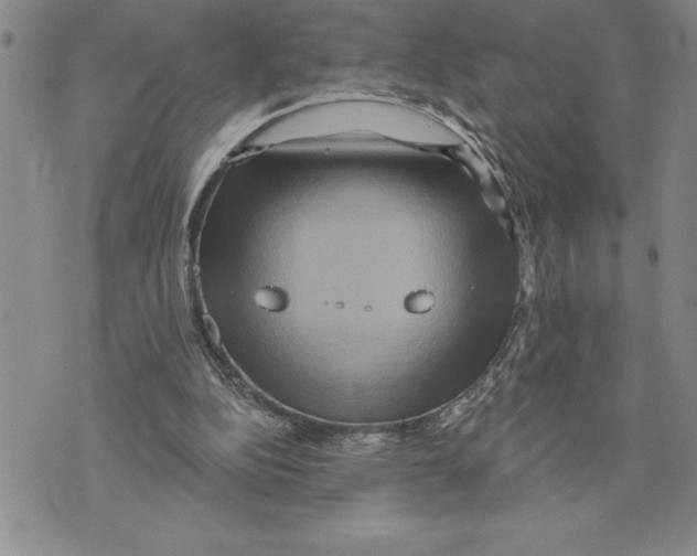 X0000075830152200610151529