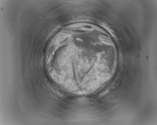 X0000075830153200610151529