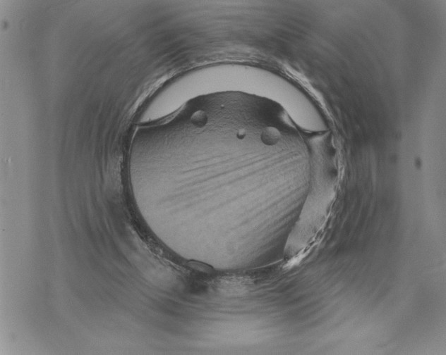 X0000075830154200610151529