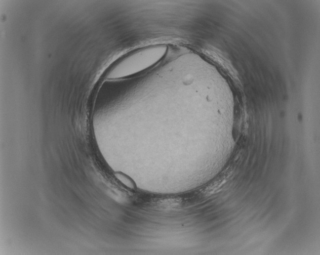 X0000075830156200610151529