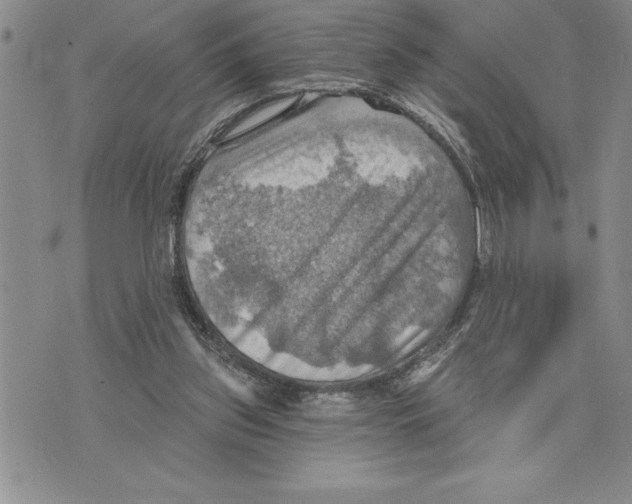 X0000075830157200610151529