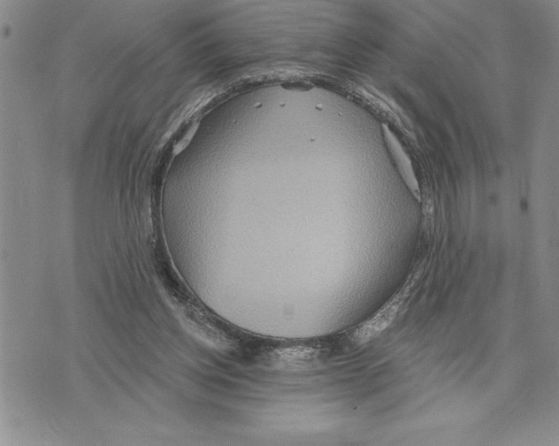 X0000075830158200610151529