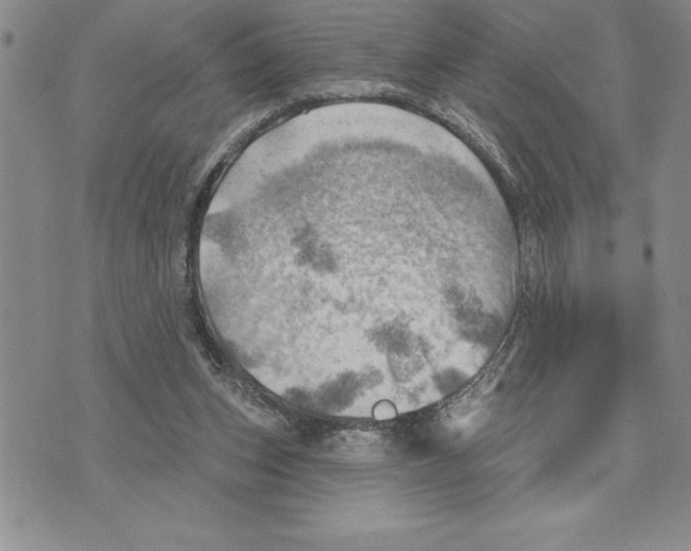 X0000075830159200610151529