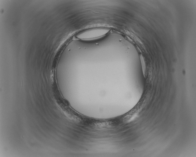 X0000075830160200610151529