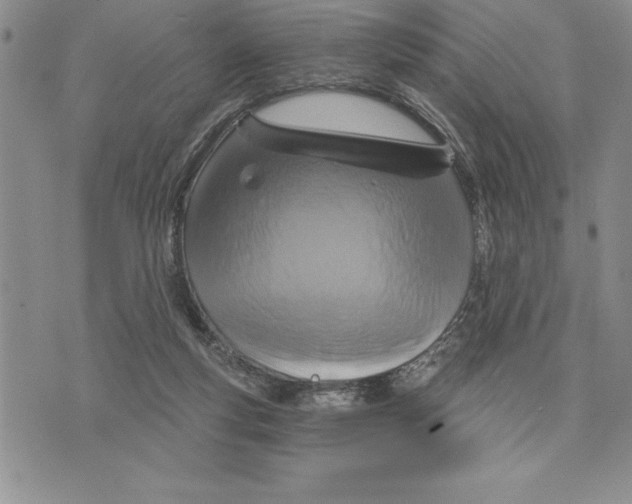 X0000075830163200610151529