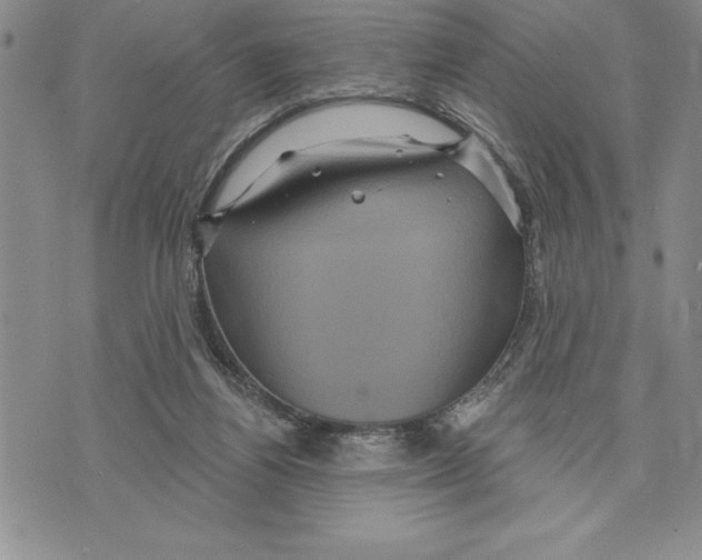 X0000075830164200610151529