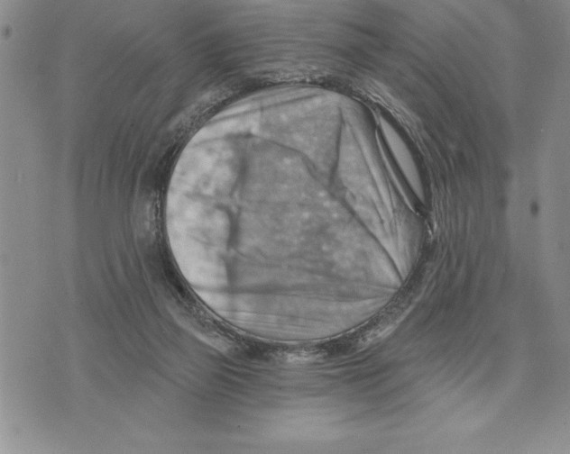 X0000075830165200610151529