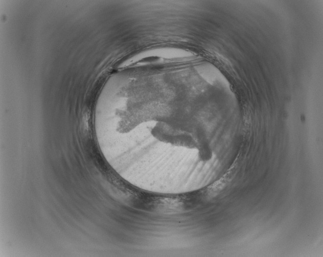 X0000075830166200610151529