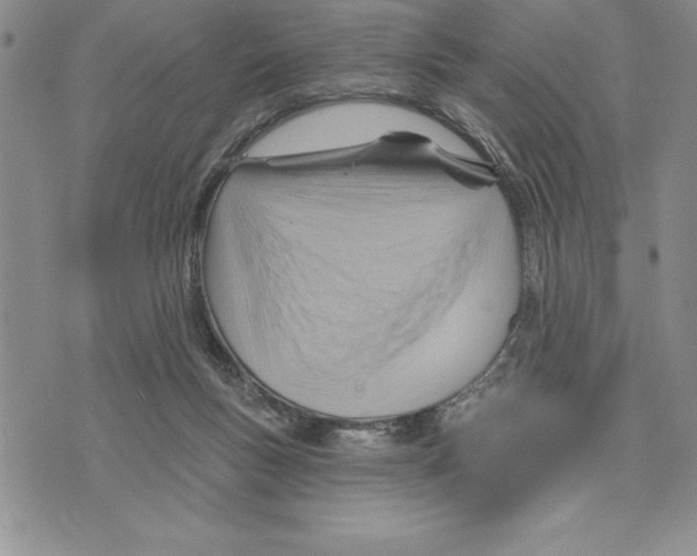 X0000075830167200610151529