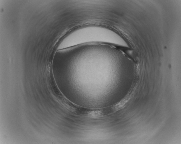 X0000075830168200610151529