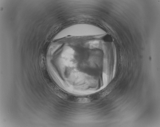 X0000075830169200610151529