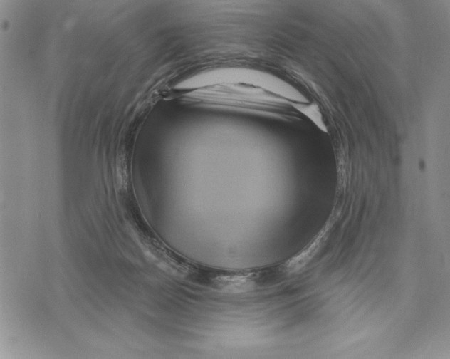 X0000075830170200610151529