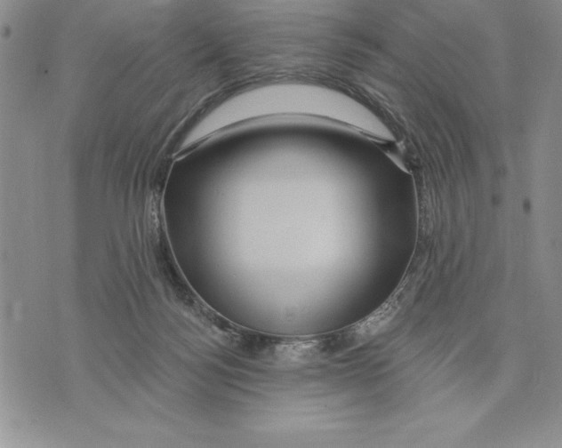 X0000075830172200610151529