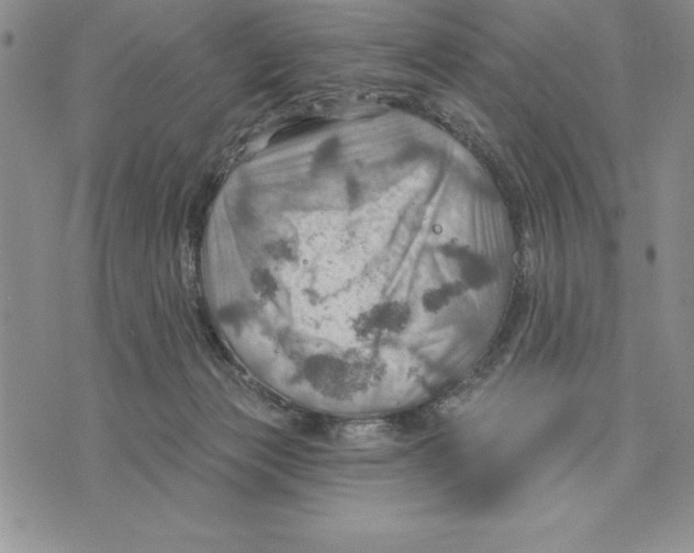 X0000075830173200610151529