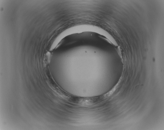 X0000075830174200610151529