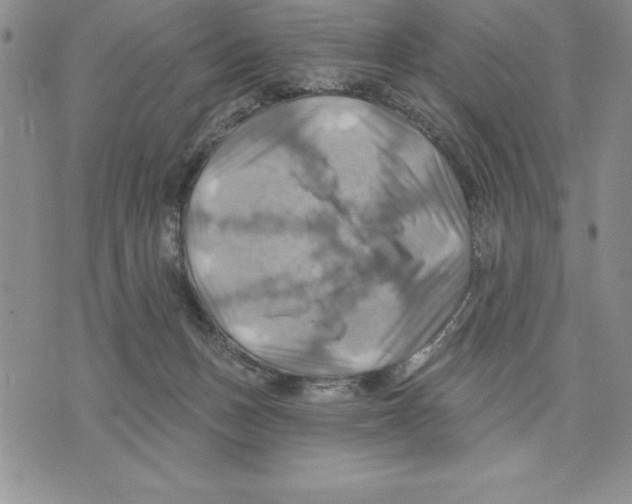 X0000075830175200610151529