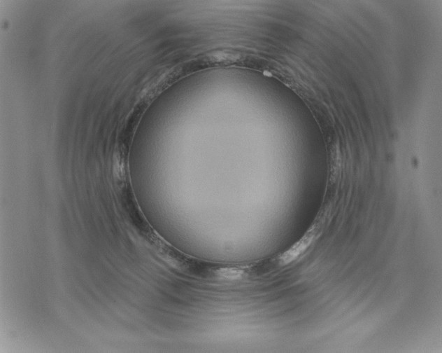 X0000075830176200610151529