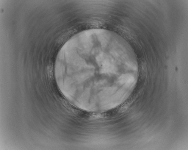 X0000075830177200610151529