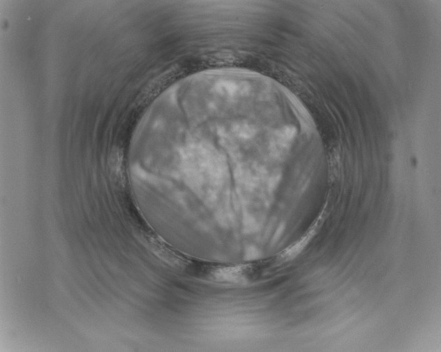 X0000075830178200610151529