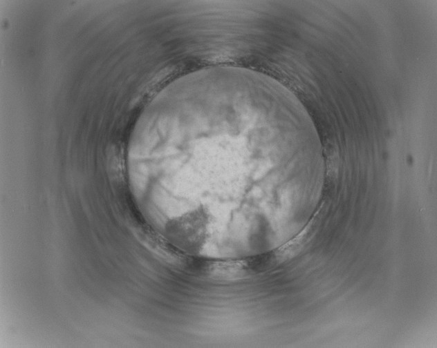 X0000075830179200610151529