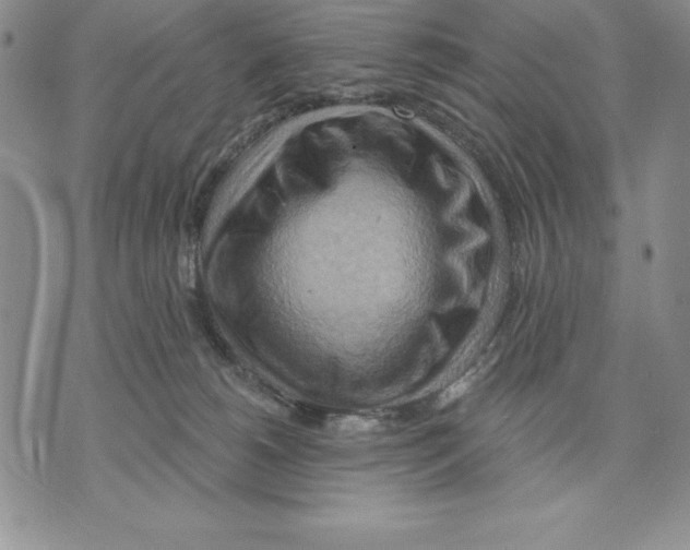 X0000075830180200610151529