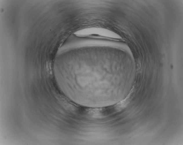 X0000075830182200610151529