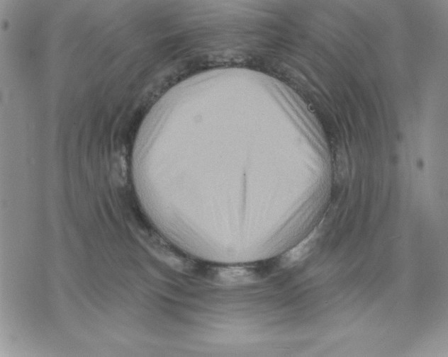 X0000075830183200610151529