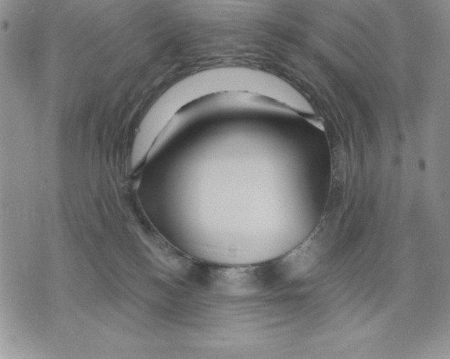 X0000075830184200610151529