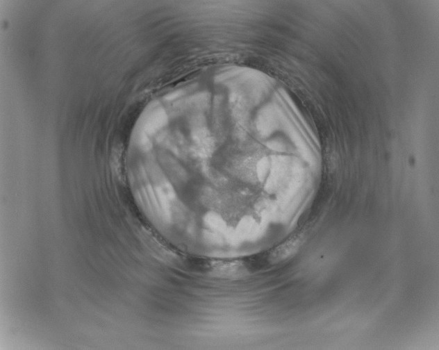 X0000075830185200610151529