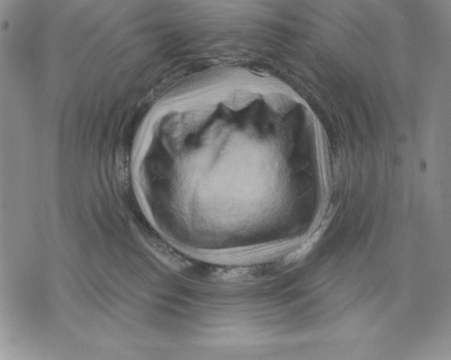 X0000075830186200610151529