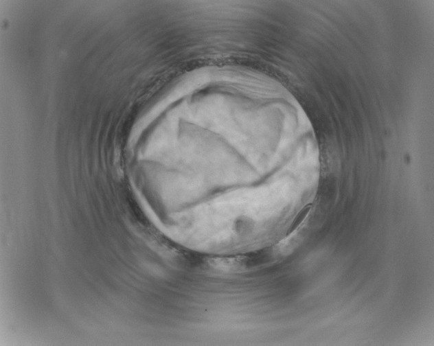 X0000075830187200610151529