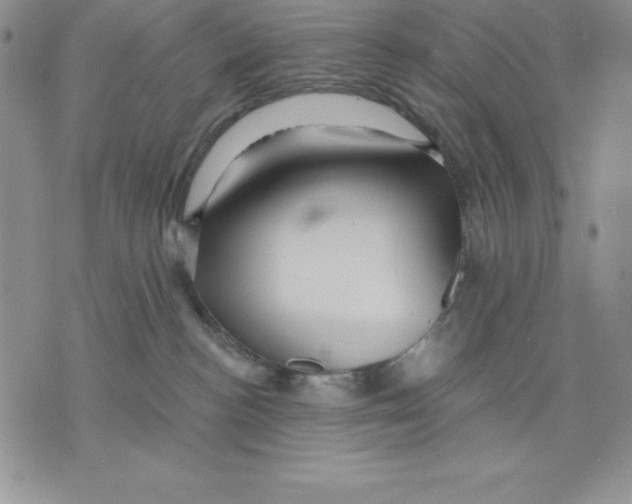 X0000075830188200610151529