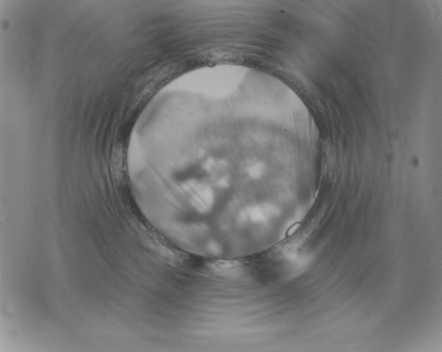 X0000075830189200610151529