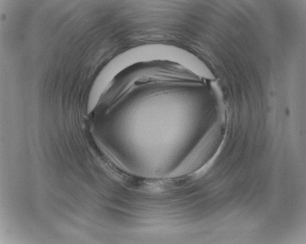 X0000075830190200610151529