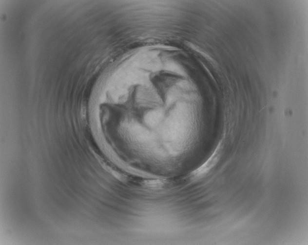 X0000075830192200610151529