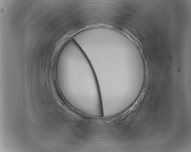 X0000075830193200610151528