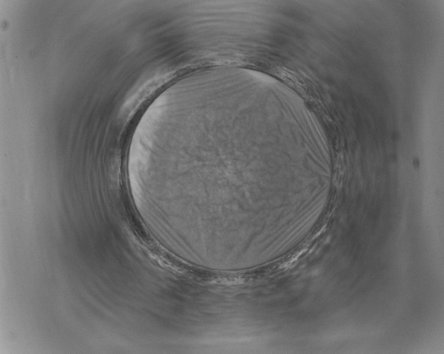 X0000075830194200610151528