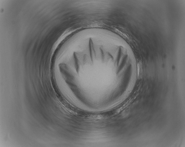 X0000075830195200610151528