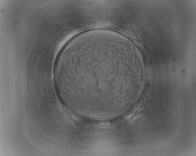 X0000075830196200610151528