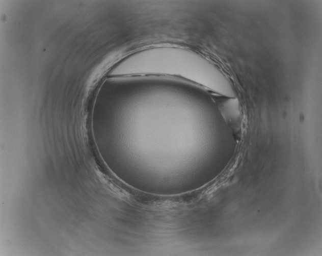 X0000075830197200610151528