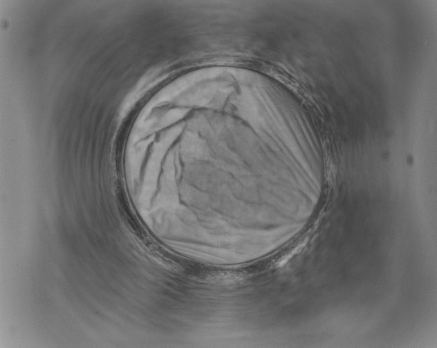 X0000075830198200610151528