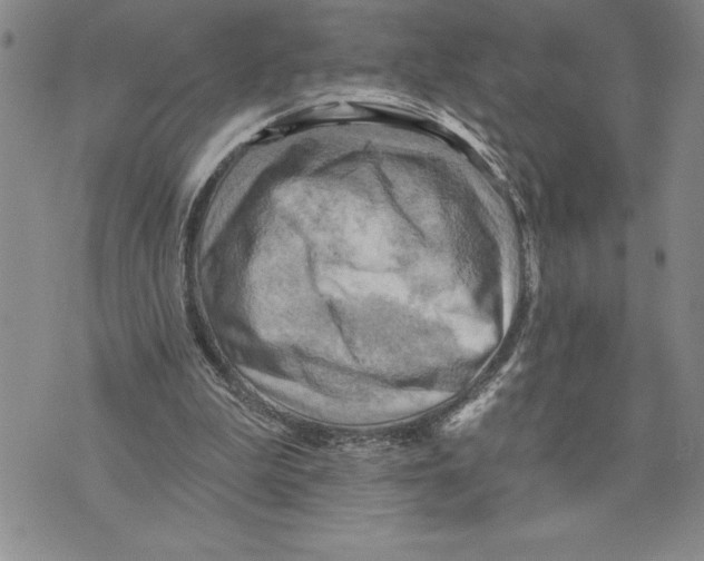 X0000075830199200610151528