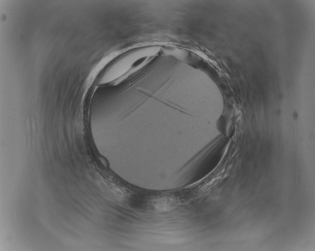 X0000075830200200610151528