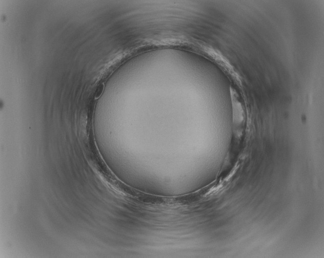 X0000075830201200610151528