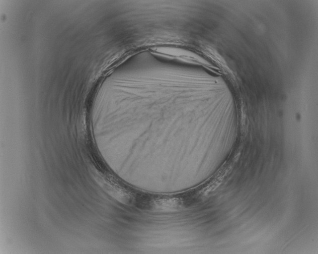 X0000075830202200610151528