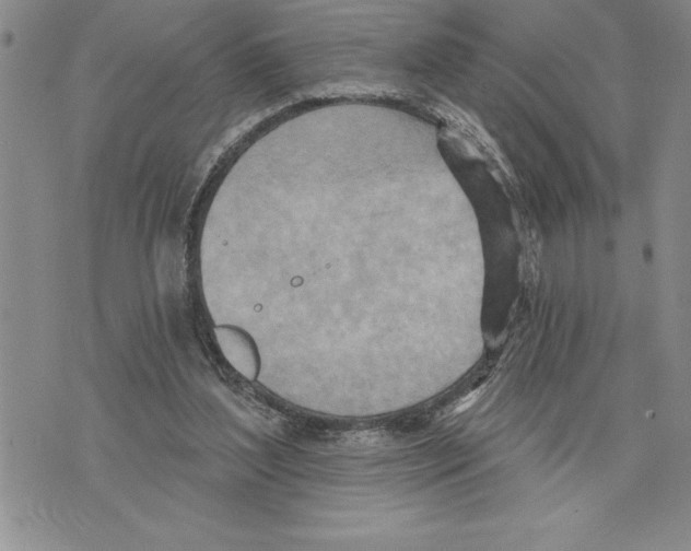 X0000075830204200610151528