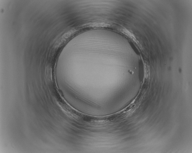 X0000075830205200610151528